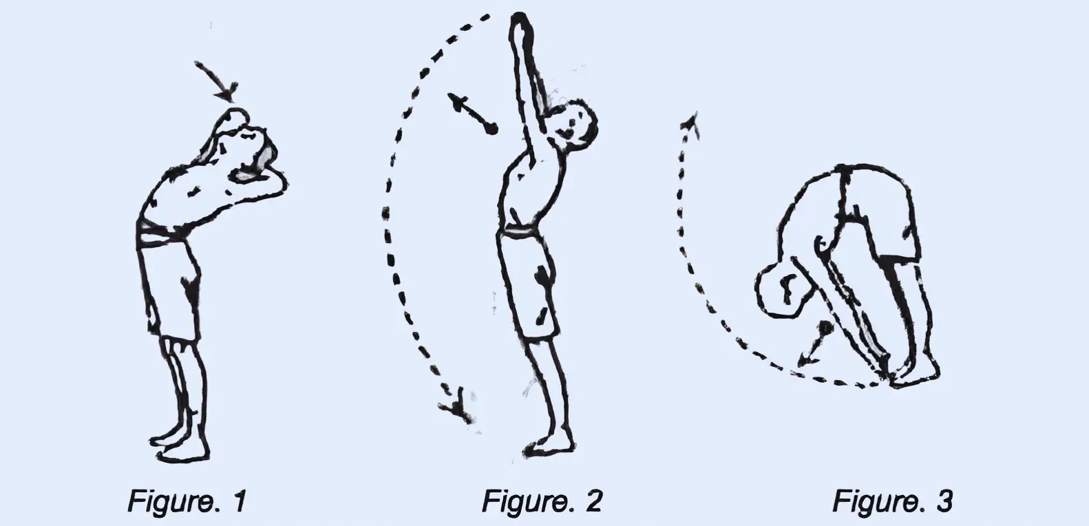 Scout BP_PT 5 - শরীর চর্চা ও বিপি পিটি