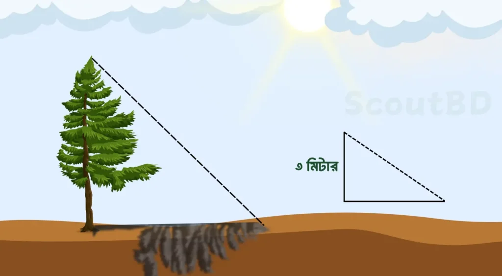 Shadow Method (অনুমান)